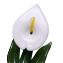 Empire Glassworks - Hand Pipe - Calla Lily - The Cave