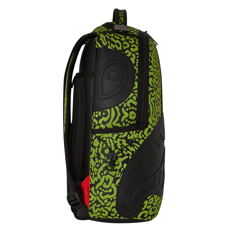 Sprayground -