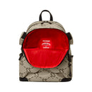 Sprayground -