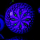 Kevin Murray - Filla Face Bubbler - Meta-Terrania & Blue Stardust - The Cave