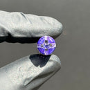 Leisure - Tip - Rainbow Hypnotech - Purple - 10mm