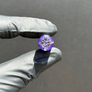 Leisure - Tip - Rainbow Hypnotech - Purple - 12mm