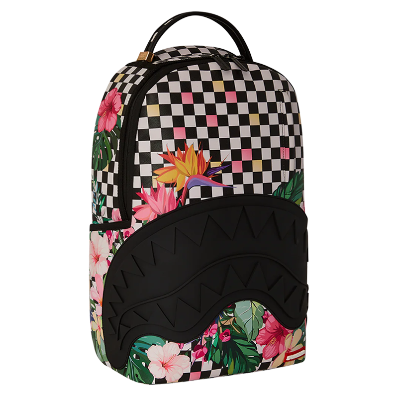 Sprayground -