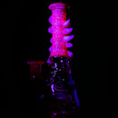 Salt - Saltacc RipCurl