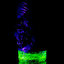 Salt - Creature Shot Glass - Amazon Bronze & Bronze Pearl w/ UV - The Cave