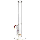 Sovereignty - 50x5 3 Line - Minor Accent - Guava Root - The Cave