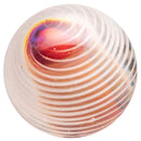 Willy Wolly - Encased Dippity Slurper Marble - The Cave