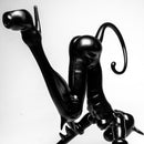 Chazpyle - Custom Dry Pipe - Cat Woman - The Cave