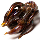 Salt Glass - Creature Dry Pipe - Striking Rust - The Cave