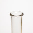 Trident - 13" Clear Beaker w/ Art - Lizard - The Cave