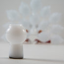 Burtoni - Albino Peacock - The Cave