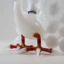 Burtoni - Albino Peacock - The Cave