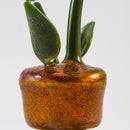 Phil Siegel - Flower Pot Concentrate Bubbler - The Cave