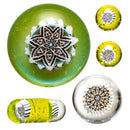 Steve H - Premium Series Slurper Set - 5 Piece - Star Mandala - CFL Sunset Slyme - The Cave