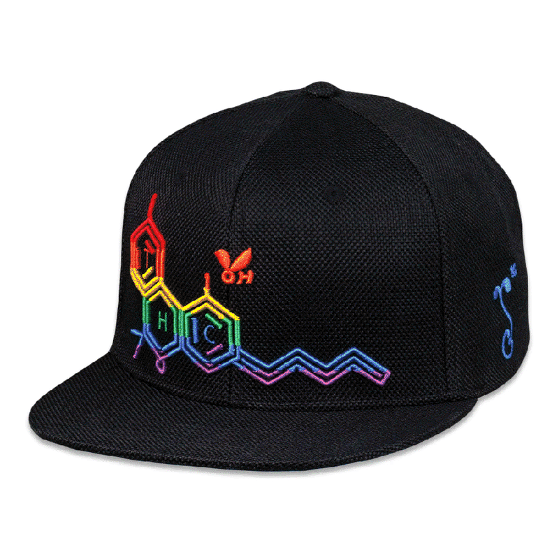 Grassroots - THC Bee Rainbow Snapback Hat - Small/Medium - The Cave