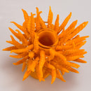 Tristan Hodges - SF 49ers Beanie - The Cave